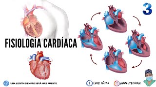 Fisiología Cardíaca Ciclo Cardíaco Períodos Presiones Volúmenes  Ruidos Cardíacos S1S2 [upl. by Anemix]