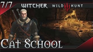 The Witcher 3 Wild Hunt Cat School Gear Set [upl. by Ahsirt998]