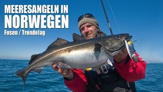 Angeln in Norwegen – Trøndelag  Mittelnorwegen [upl. by Jennette]