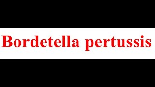 Bacteriologie  Bordetella Pertussis FMPC [upl. by Prudie]