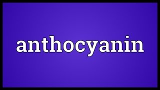 Anthocyanin Meaning [upl. by Russian210]