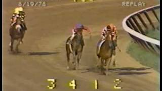 Affirmed vs Alydar  1978 Travers Stakes Final Meeting [upl. by Coppock]