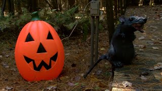 Haunted Halloween Trail at Camp Louise [upl. by Cirdahc]