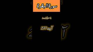 Surah Al Baqrah ayat237 urdu translationislamicvideo surahbaqarahurdu ytshorts urdutranslation [upl. by Oicanata]