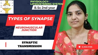 Types Of Synapse Bsc 2nd yearSynaptic TransmissionNeuromuscular Junctionsynapses4thsemestre [upl. by Nomrej792]