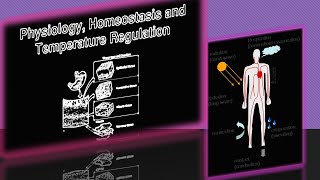 Physiology of Thermoregulation  Full Explanation in Hindi  By NG Medicals WITH EASY NOTES [upl. by Nowed]