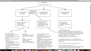 Myeloid and Lymphoid neoplasms web Computer [upl. by Eniarral230]