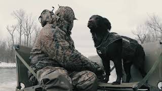 Understanding the Boykin Spaniel A Valley Way Film [upl. by Loring]