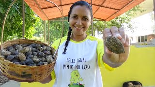 BOLO FOFINHO DE CASTANHOLA AMENDOEIRA [upl. by Karina]