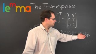 Linear Algebra 11w Introduction to the Transpose of a Matrix [upl. by Hnah208]