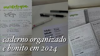 CADERNO BONITO E ORGANIZADO 2024  Tenha um glow up no caderno com dicas [upl. by Novi913]