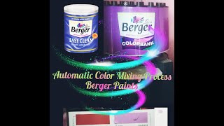 Automatic color mixing process  Berger Paints in Nepal [upl. by Fitting]