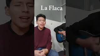 La Flaca  Jarabe De Palo cover acútico jarabedepalo laflaca cover [upl. by Asilenna]