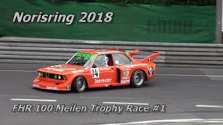 Norisring 2018  FHR 100 Meilen Trophy Race 1  Porsche 935  BMW M1 [upl. by Theo]