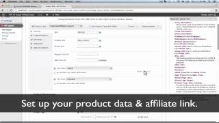 Build Datafeed Affiliate Stores With WordPress  Tutorial [upl. by Aerdnaxela]