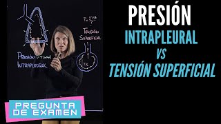 Presión intrapleural vs Tensión superficial en el alvéolo Pregunta de examen [upl. by Pelagi]