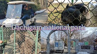 Dachigam National Park Full View  Full Analysis and Informative [upl. by Eislrahc494]