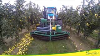 Machine de recolte Pommes a cidre au sol MVTEC installee sur tracteur [upl. by Valaree]