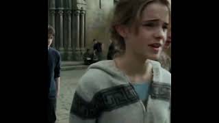 Hermione and Ron Arguing Over Scabbers and Crookshanks  Harry Potter Shorts [upl. by Joanie]