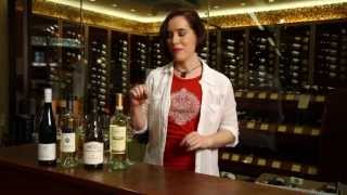 Riesling Sauvignon Blanc Chardonnay Pinot Grigio Pinot Gris  White Wine Guide [upl. by So]