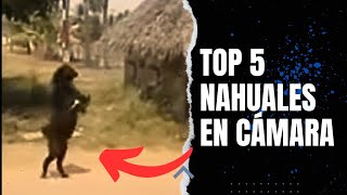 5 NAHUALES REALES CAPTADOS en LA VIDA REAL y en CÁMARA [upl. by Lleumas]