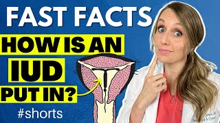 How is IUD put in the uterus shorts [upl. by Ahselet]