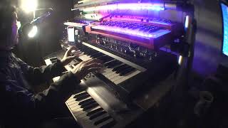 【Improvised cover】 Damage Sylvian amp Flip performed using a Roland SH201 [upl. by Werd]