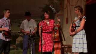 12 Foghorn Stringband 20140118 Distant Land To Roam [upl. by Attennhoj142]