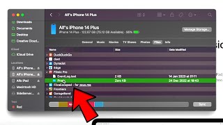 How To Access All iPhone files from PC [upl. by Dahraf]