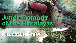 Jungle nomads of the Himalayas  SLICE  Full documentary [upl. by Eirek]