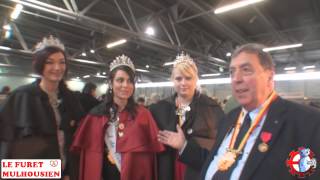 Les Reines du Carnaval au salon des Collectionneurs de Mulhouse [upl. by Atnicaj]