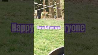 fall food halloween2024 shortvideo northcarolina itsneverending5321 [upl. by Lenes]