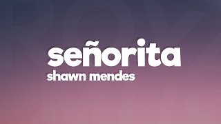 Shawn Mendes Camila Cabello  Señorita Lyrics [upl. by Adnawahs822]