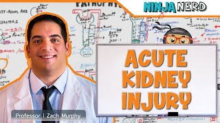 Acute Kidney Injury AKI  Etiology Pathophysiology Clinical Features Diagnosis Treatment [upl. by Gervais]