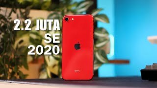 22 Jutaan iPhone SE 2020 di Tahun 2024 Performa dan Kamera Mirip iPhone 11 [upl. by Xonel]