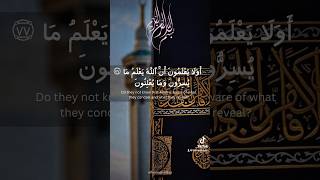 Surah Baqarah 7677 Tilawat youtubeshorts trending shorts viral islam trending youtube quran [upl. by Yawnoc]