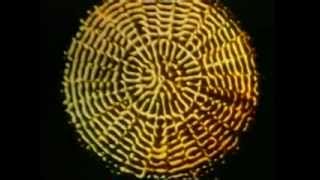 432Hz Cymatics Part 3 of 3 [upl. by Adlin723]