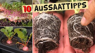 10 Aussaattipps für gesunde Jungpflanzen So klappt es mit deinen eigenen Gemüsepflanzen [upl. by Aianat181]