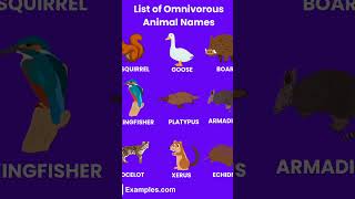 List of omnivores Animals [upl. by Eelrebmyk]