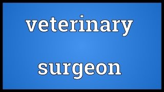 Veterinary surgeon Meaning [upl. by Jillana750]