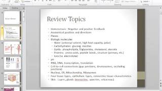 Exam 1 Review [upl. by Eslek358]