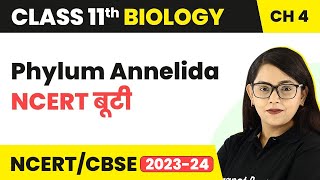 Phylum Annelida  NCERT बूटी  Animal Kingdom  Class 11 Biology Chapter 4  NCERTCBSE [upl. by Azarria]