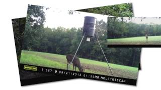 Moultrie Panoramic 150 [upl. by Stesha]