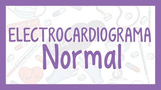 ELECTROCARDIOGRAMA Normal  Valores Normales  ¡Fácil explicación [upl. by Nnylrats]