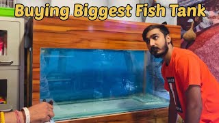 Arowana Fish Ke Liye Itni Badi Tank Kharid Le [upl. by Amand862]