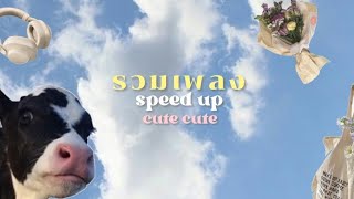 รวมเพลง speed up น่ารักๆ [upl. by Otilesoj]