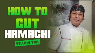 How to Fillet a Whole Hamachi  Whole fishPrepare for Sushi or sashimi [upl. by Trenton468]