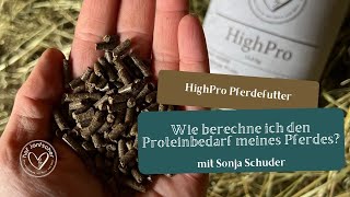 Wie berechne ich den Proteinbedarf meines Pferdes Pferde bedarfsgerecht ernähren mit Sonja Schuder [upl. by Nataline]