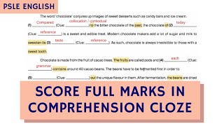 Master PSLE English Comprehension Cloze TTA PSLE English Paper 2 Ep 18 [upl. by Vivi]