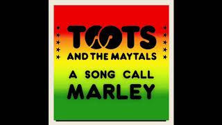 Toots and the Maytals  quotA Song Call Marleyquot [upl. by Elehcor]